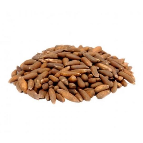 Chilghozay (Pine Nuts) Moti 250GM Packed
